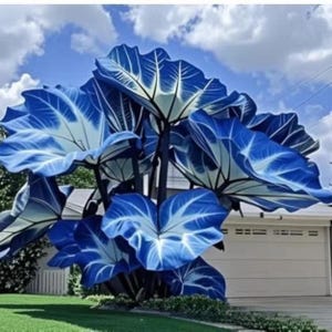 Op de afbeelding: Een grote, gestileerde buitensculptuur van blauwe bladeren met witte aderen. De bladeren zijn gegroepeerd, waardoor een unieke, opvallende weergave ontstaat. De sculptuur staat tegen een achtergrond van een blauwe lucht met wolken en een woonhuis.