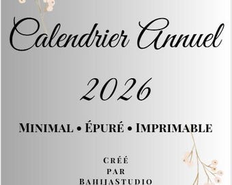 Calendrier Annuel 2026 3 couleurs – Minimal & Épuré – Calendrier Imprimable A4 – Planner Annuel PDF