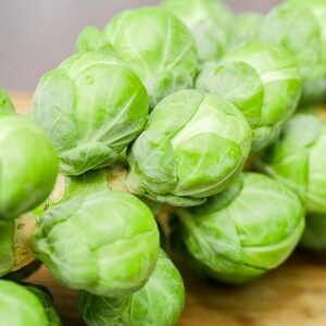 May include: A close-up shot of fresh Brussels sprouts, displaying their vibrant green colour. The image shows several sprouts clustered together, emphasizing their layered leaves and rounded form. The sprouts are a bright green, indicating freshness.
