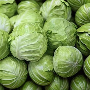 Könnte beinhalten: Nahaufnahme eines Haufens frischer, grüner Kohlköpfe. Die Kohlköpfe sind eng aneinander gepackt und zeigen ihre runde Form und geschichteten Blätter. Das Bild hebt die natürliche Textur und die leuchtende Farbe des Gemüses hervor.