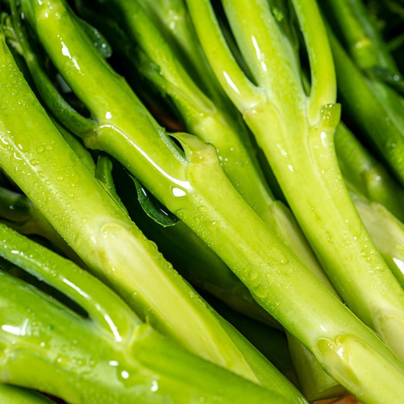 Pu&ograve; includere: Un gruppo di steli di broccolo cinese freschi e di un verde vibrante, noto anche come gai lan, caratterizzato da steli cilindrici lisci con piccoli nodi e foglie delicate, il tutto leggermente ricoperto da goccioline d'acqua brillanti.