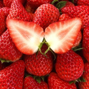 40 Strawberry Seeds  | Heirloom Non-GMO | Fast Growing | Pot Friendly Vegetable Seeds | Fresh Herb Seeds
