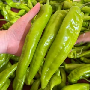 Op de afbeelding: Close-up van verschillende lange, lichtgroene paprika's. De paprika's worden in een hand gehouden, wat hun grootte en vorm benadrukt. De paprika's hebben een glad, glanzend oppervlak en een licht gebogen vorm. De achtergrond is gevuld met meer van dezelfde paprika's.