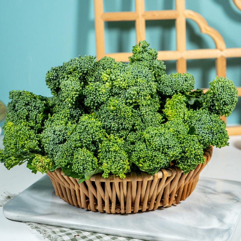Pu&ograve; includere: Una grande e densa testa di cimette di broccoli verdi freschi disposta in un cesto rotondo di vimini intrecciato color marrone chiaro. Il broccolo presenta una superficie ruvida e irregolare di colore verde brillante, che riempie il cesto.