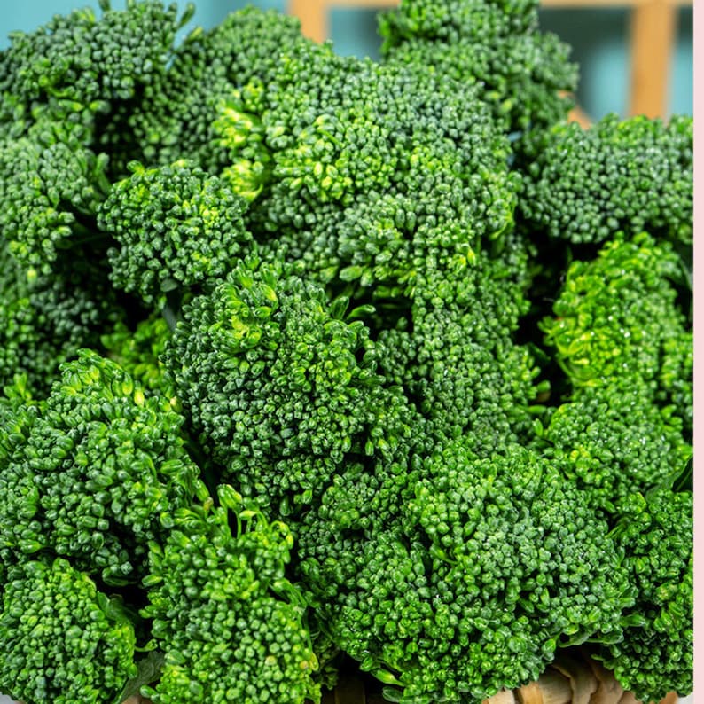 Pu&ograve; includere: Un grappolo di cimette di broccoli freschi caratterizzato da un vibrante colore verde intenso e una superficie densa e strutturata. I singoli germogli sono strettamente raggruppati, creando un motivo organico complesso su tutta la superficie.