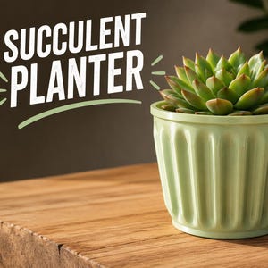 May include: A light green, vertically ribbed ceramic planter containing a green succulent plant. The text "SUCCULENT PLANTER" is displayed in white, bold, sans-serif capital letters to the left of the plant, accented by small green lines.