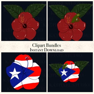Pode incluir: Pacote de cliparts digitais com flores de hibisco vermelhas e flores nas cores da bandeira de Porto Rico, com um sapo em uma. Inclui folhas verdes e o texto "Clipart Bundles INSTANT DOWNLOAD".