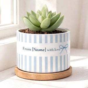 Pode incluir: Uma planta suculenta verde clara num vaso de cerâmica branco com riscas verticais azuis. O vaso tem o texto "From [Name] with love" e uma ilustração de laço azul. Assenta numa base redonda de madeira.