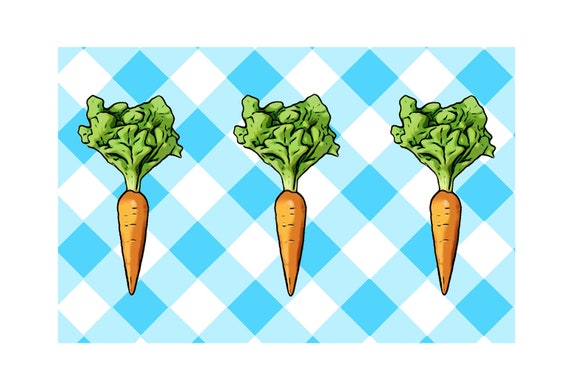 Aqua Gingham and Carrots Disposable Placemats - set of 12 Il_570xn