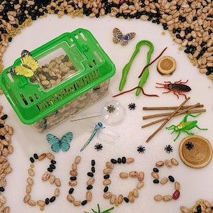 Bug Explorer Sensory Bin | Nature Play Kit, Montessori Activity