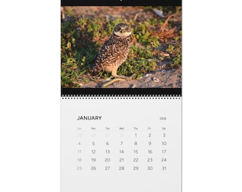 Burrowing Owls 2026 Wall Calendar | Wildlife Bird Photography Calendar