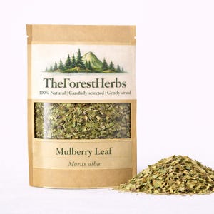 Maulbeerbaumblatt/ Wildwasser/ lose Bio-Kräutertee/ Morus alba