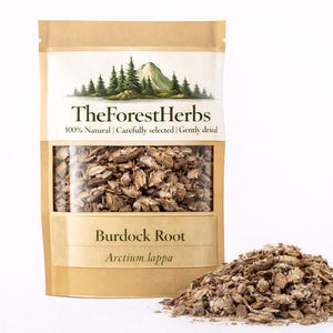 Raíz de bardana - Arctium lappa/ Hierbas orgánicas/ Lote fresco/ Cosecha silvestre