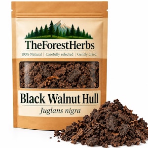 Mallo di noce nera - Juglans nigra/ Erbe biologiche/ Mallo frantumato/ Essiccato