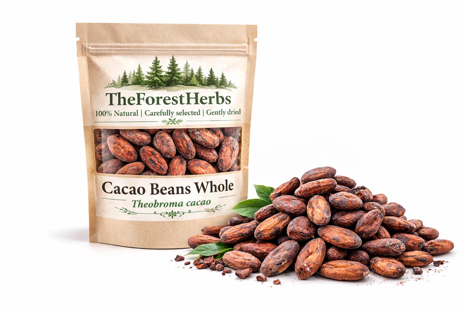 カカオの生種 栽培用 20粒セット　8月31日発送予定 Cacao seeds - Etsy 日本