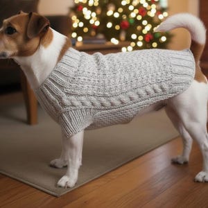 Puede incluir: Un Jack Russell Terrier con un suéter de perro de punto trenzado gris claro. El perro es blanco con marcas marrones. El suéter tiene un diseño texturizado y cubre la espalda y el pecho del perro.