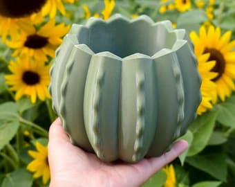 Kaktus gerippter Blumentopf STL-Datei für den 3D-Druck | Spiky Wüstenpflanze Dekor