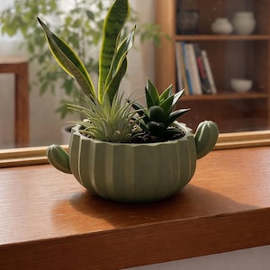 May include: A light green, ribbed, cactus-shaped ceramic planter containing a snake plant, an air plant, and a succulent. The planter features two small, rounded cactus-like arms on opposite sides and is filled with dark potting soil.