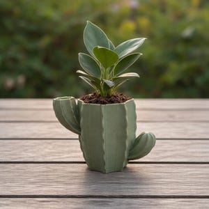 Archivo STL de maceta de cactus: maceta moderna para suculentas imprimible en 3D, descarga digital
