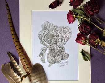 Estampe d'art Iris Art Nouveau Synesthésie Œuvre florale Cadeau Iris Fête des Mères Décoration florale pour chambre Art mural Dessin illusion