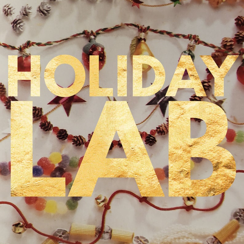 Holiday Lab  2022 image 1