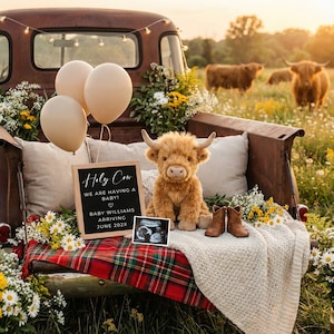 May include: A rustic pickup truck bed is decorated for a baby announcement. It features a plush Highland cow, small cowboy boots, a sign that reads "Holy Cow We Are Having a Baby!" and a sonogram image. Balloons and flowers complete the scene.