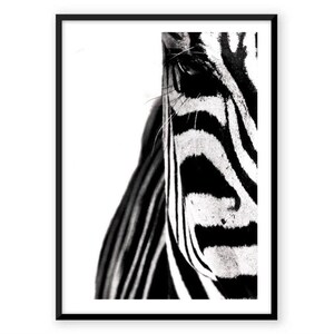 Peut inclure: Impression artistique encadrée en noir et blanc représentant un gros plan du visage d'un zèbre. L'image met en valeur l'œil et les rayures noires et blanches distinctives de l'animal.