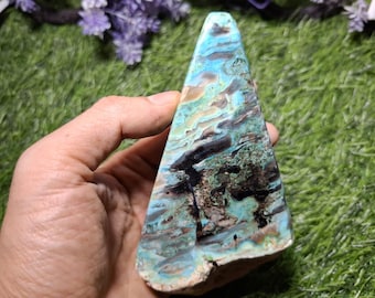Polished Petrified Wood Stone – Natural Multicolor Fossil Wood – Unique Pattern Specimen – Collector & Decor