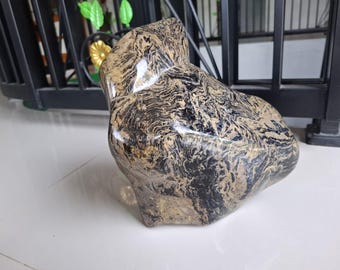 Polished Petrified Wood Freeform – Natural Fossil Wood Stone – Unique Home Decor & Collector Display