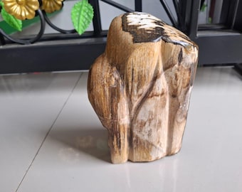 Polished Petrified Wood Freeform Sculpture – Natural Fossil Wood Stone Decor – Unique Home & Office Display