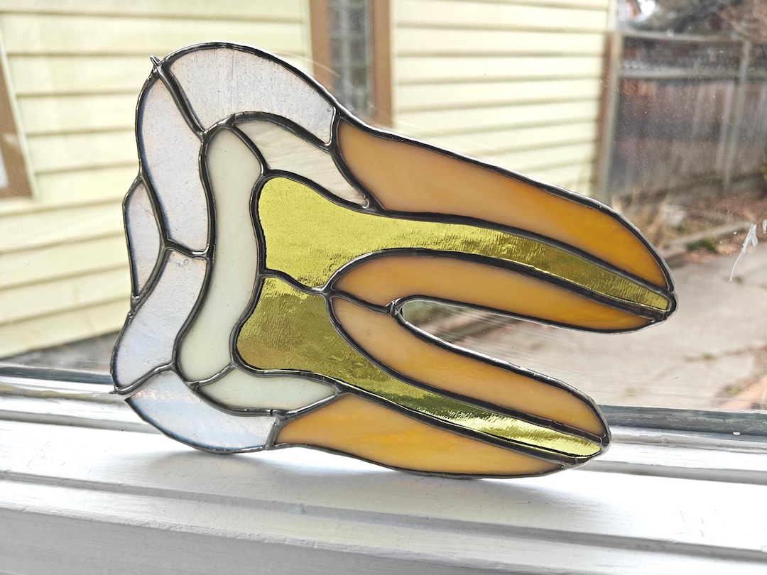 Stained Glass Molar Tooth (larger Version)- Olive Green Pulp Chamber - Etsy