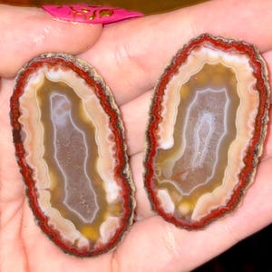 Fall Colored Zhanguo Agate Pair | Natural Banded Agate Slice | Collector Crystal |