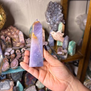 May include: A lavender-colored crystal obelisk with golden and white accents. The crystal is held in a hand, with other crystals and minerals visible on shelves in the background. The obelisk is a polished, pointed shape, and the shelves are made of wood.