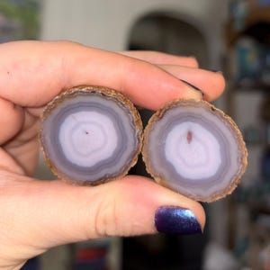 May include: Two halves of a polished agate stone, displaying concentric rings of grey and white. The outer edge is a warm brown. The centre has a small, reddish-brown inclusion. The stone is held in a hand.