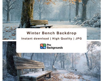 Snowy Winter Park Bench 4K Digital Background (JPG)