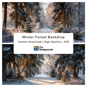 May include: A winter forest backdrop featuring a snow-covered path winding through tall trees. The image has a soft, natural light and includes the text "Winter Forest Backdrop" and "Instant download | High Quality | JPG".