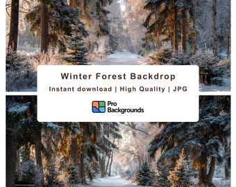 Winter Forest Zoom Background, Nordic Landscape (Digital Download)
