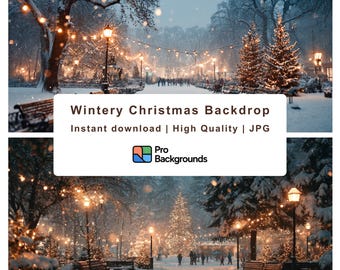 Winter Park Christmas Digital Backdrop, Snowy Holiday Scene (4K JPG)
