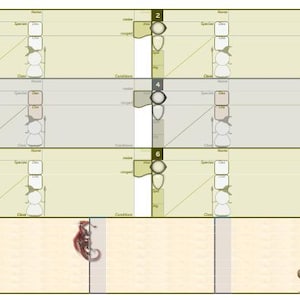 May include: A beige and green game board with six character sheets and a space for a dragon illustration. Each character sheet has sections for stats like Name, Species, and Class. A small illustration of a dragon is on the bottom left.