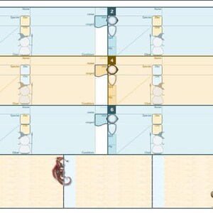 May include: A game board with six rectangular sections, each with a grid for entering data. The sections are in blue and yellow, with a border. A red dragon and a compass rose are in the lower section. The board is designed for a tabletop game.