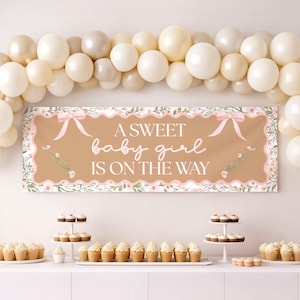 May include: A banner with the text "A Sweet Baby Girl Is On The Way" in white script, decorated with pink bows and floral accents. The banner is brown with a scalloped pink and floral border. Balloons and cupcakes are also visible.