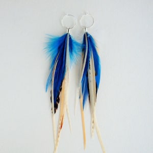 Blue Feather Earrings