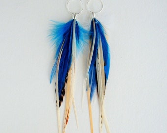 Blue Feather Earrings