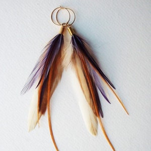 May include: A pair of feather earrings with gold hoops. The feathers are white, brown, and purple.