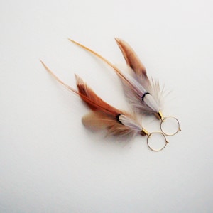 Dovetail Feather Earrings