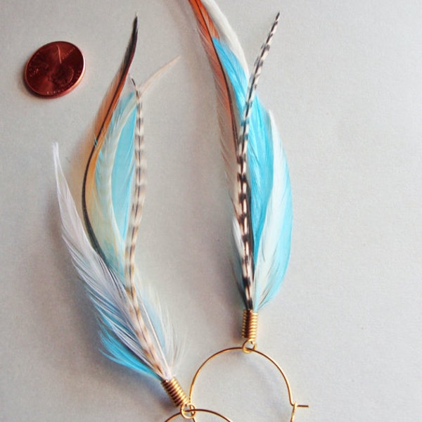 Boucles d'oreilles plumes bleues martin-pêcheur