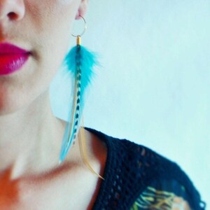 Kingfisher Blue Feather Earrings image 4