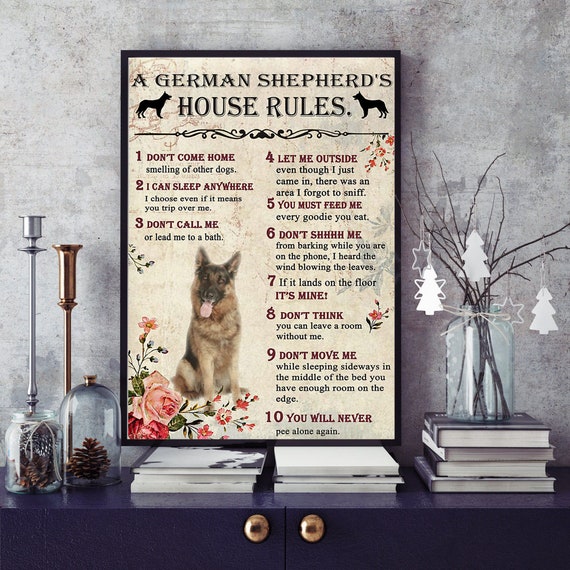 Why Don T Dogs Like To Be Blown On