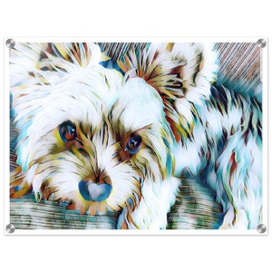 Acrylic Print Yorkie Yorkshire Terrier Puppy by jWise No Frame Needed Shatterproof Temperature Resistant Wall Art Decor 18x24 20x30 24x32