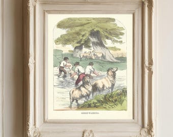 Schaf Kunstwerk - Bilderbuch - Pastorale Szene - Antike Chromolithographie Illustration